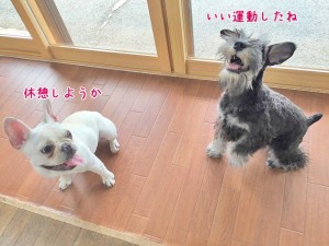 さすがに疲れたね