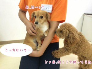 じゃあ、まってる
