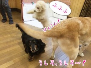 じゃーんぷ