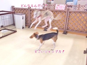 すごいジャンプ力