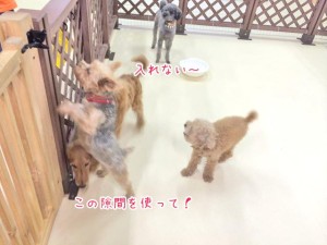 せまい～