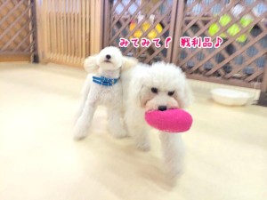 せんりひん～