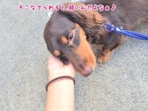 そこがいいなぁ