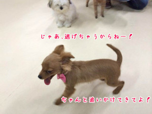 だいじょうぶかなぁ？