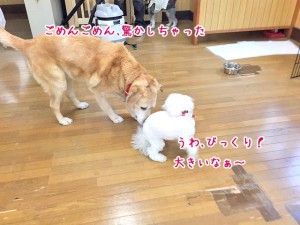 ちょっとびっくり