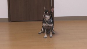 ちろ