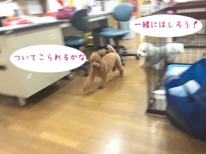 ついてこられるかな