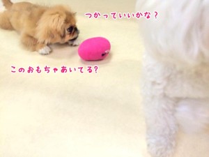 つかっていいかな？