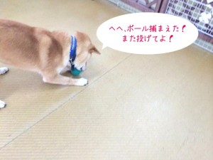 つかまえたよ