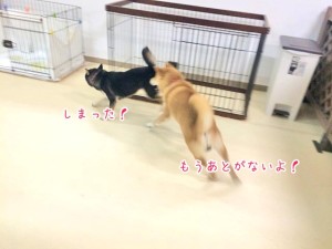 つかまっちゃう！