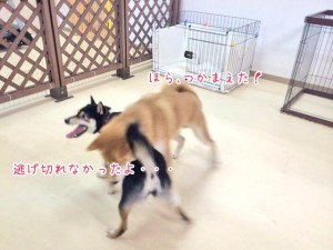 つかまっちゃった♪