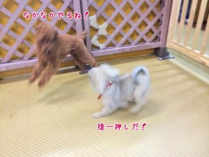 なかなかやるね！