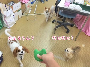 なになに？