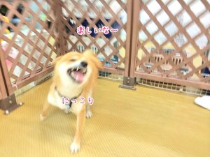にっこり