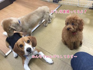 のんびりー