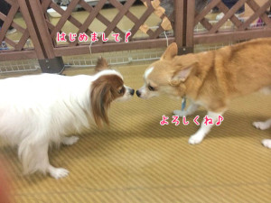 はじめまして