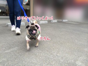 はりきっていこう