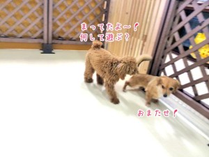 まってました！