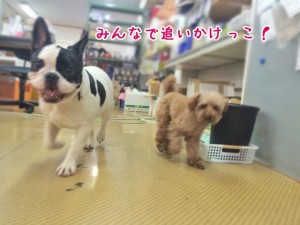 みんなで追いかけっこ！