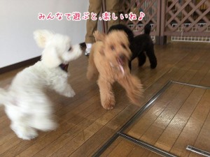 みんなで遊ぶと楽しいね！