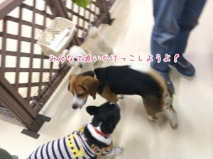 みんなで遊ぼう
