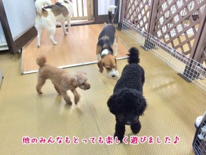 みんな楽しかったね