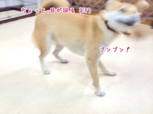 めがまわるー