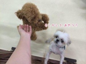 もしかしておやつ？