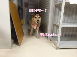 ものおき？