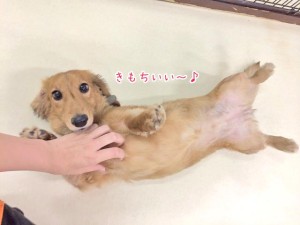 より目になっちゃった