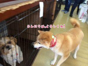 よろしくね