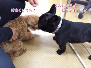 よろしくね！