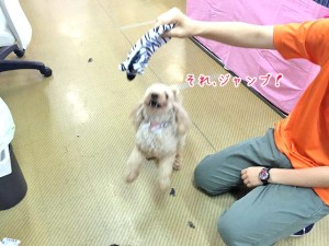 ジャンピングキャッチ