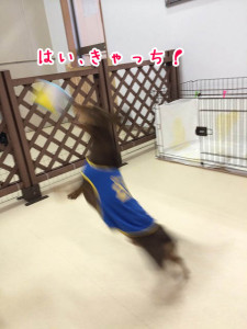 ナイスキャッチ