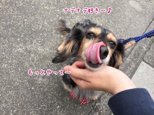 ナデナデ