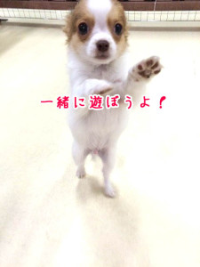 一緒に遊ぼうよ