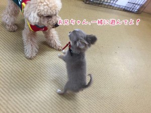 一緒に遊ぼうよ