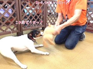 予想以上に強いね！