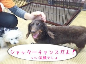 今こそシャッターチャンス