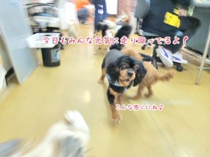 今日もみんなとっても元気！