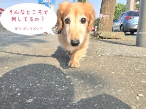 何してるの？