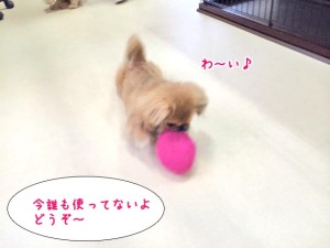 使っていいよ