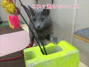 使って良い？