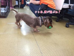 僕が遊ぶね
