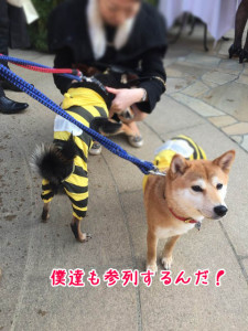 僕らも参列