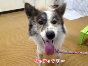 写真 5