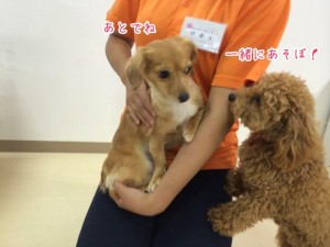 写真撮影中なの