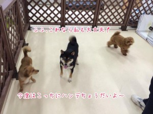 別のお友達と