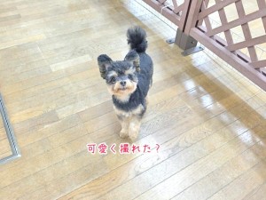 可愛く撮れたかな？