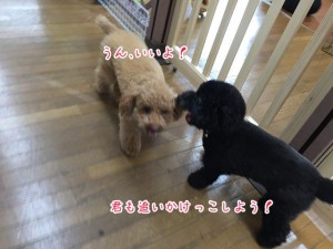 君も追いかけっこしよう